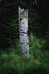 SGang Gwaay (Ninstints), Haida Gwaii II