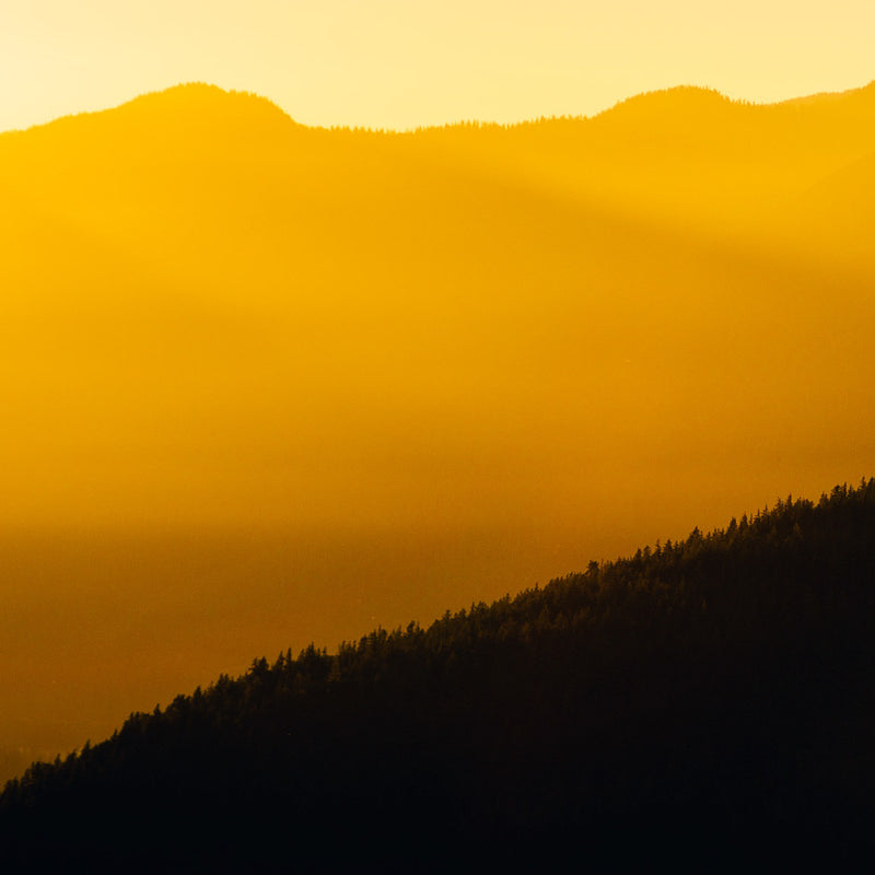 Mountain Light Study II