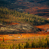 Autumn I, Tombstone Territorial Park, Yukon