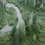 Old Growth Stream, E.C. Manning Park