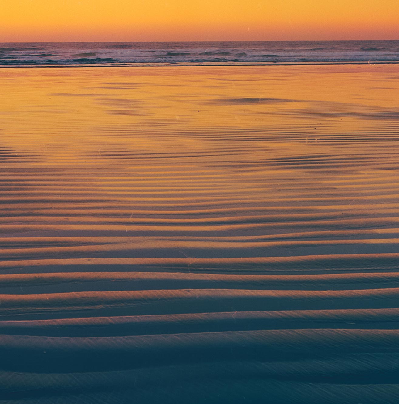 Orange Horizon, Pacific Rim National Park