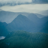 Princess Royal Island, Aerial I