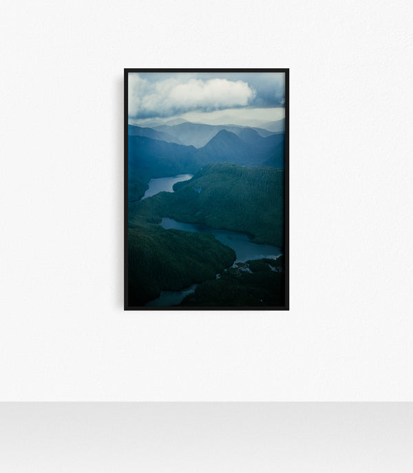 Princess Royal Island, Aerial I