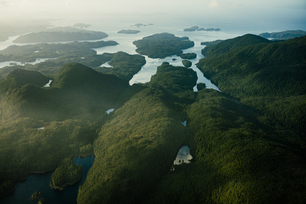 Princess Royal Island, Aerial VIII