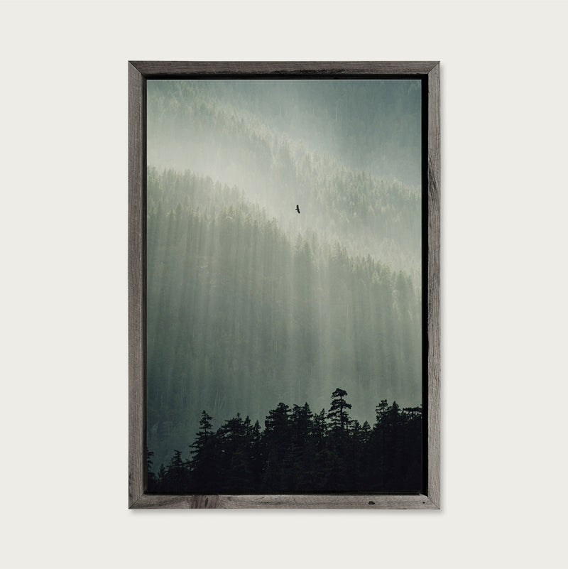 Soar, Strathcona Provincial Park